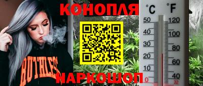 соль ск Владикавказ