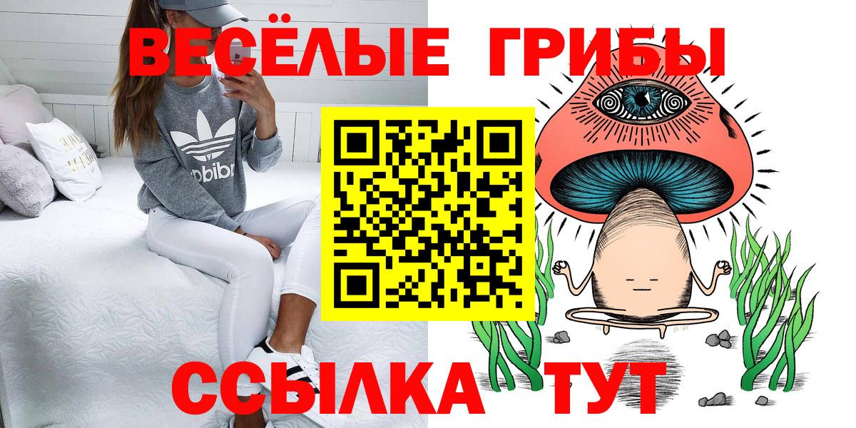 Псилоцибиновые грибы прущие грибы Ессентуки