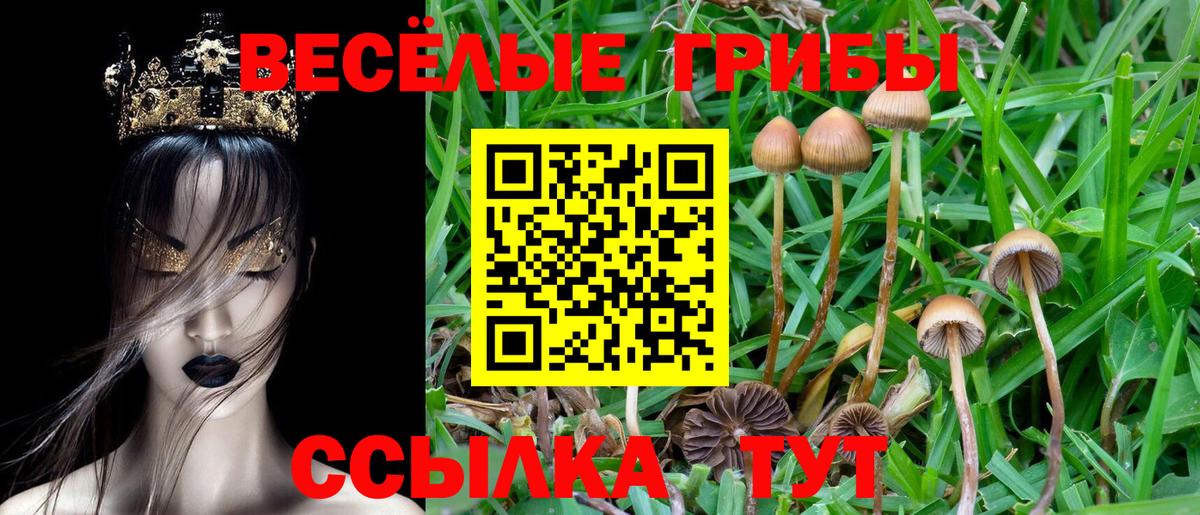 Ессентуки  купить  цена  Псилоцибиновые грибы Magic Shrooms  Вход с VPN  Псилоцибиновые грибы мицелий 